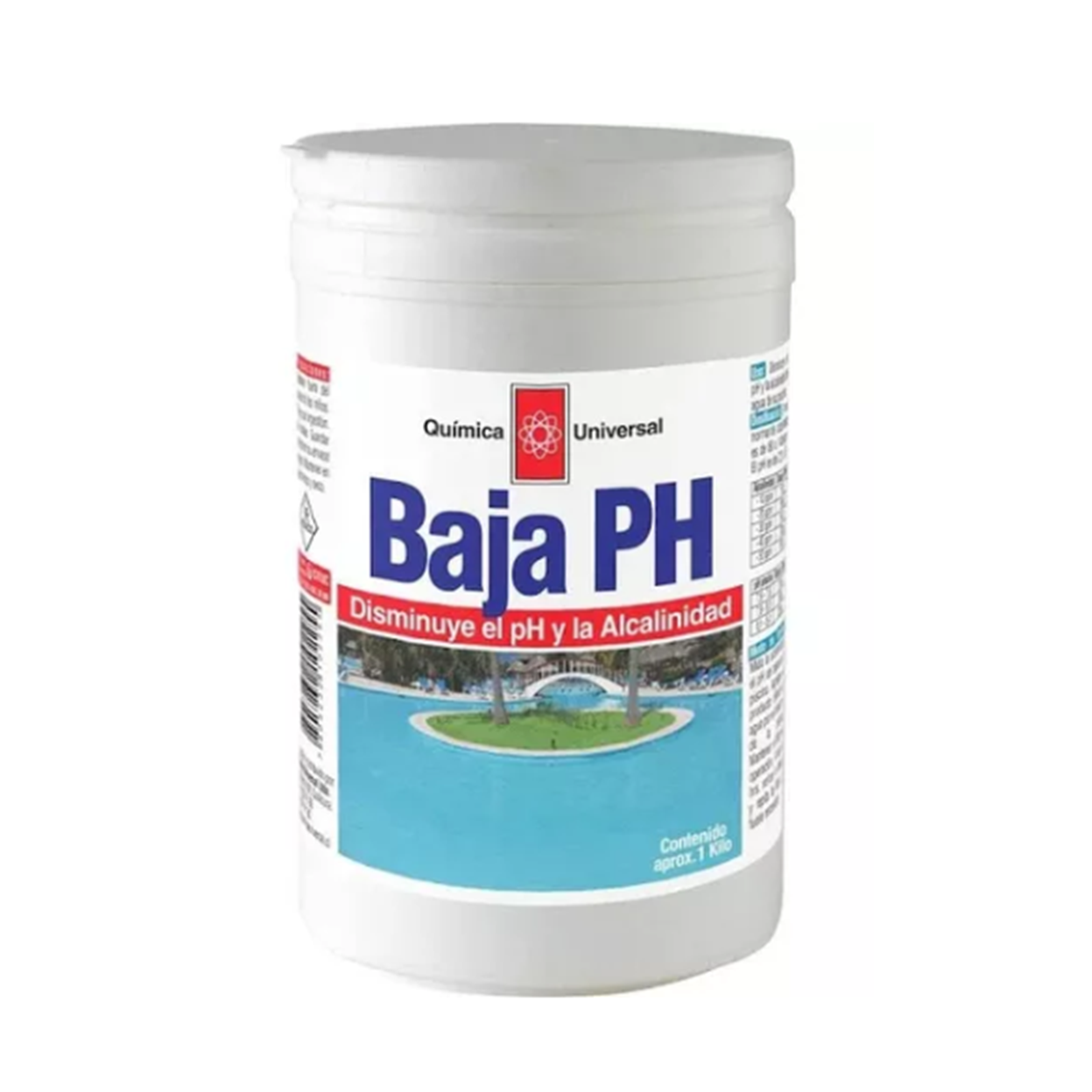 PACK 10 Baja PH piscina 1 kg